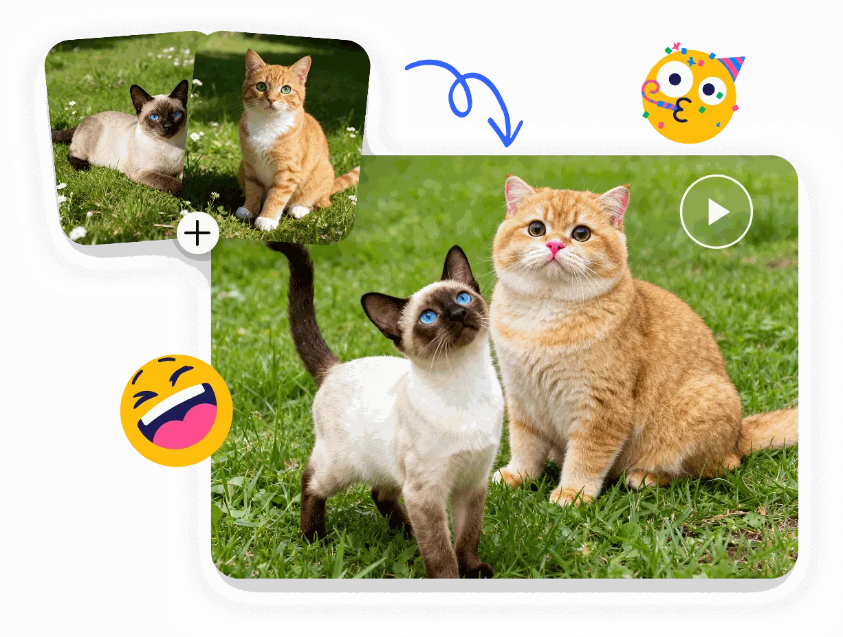 動物のキス動画で、笑いと癒しを演出