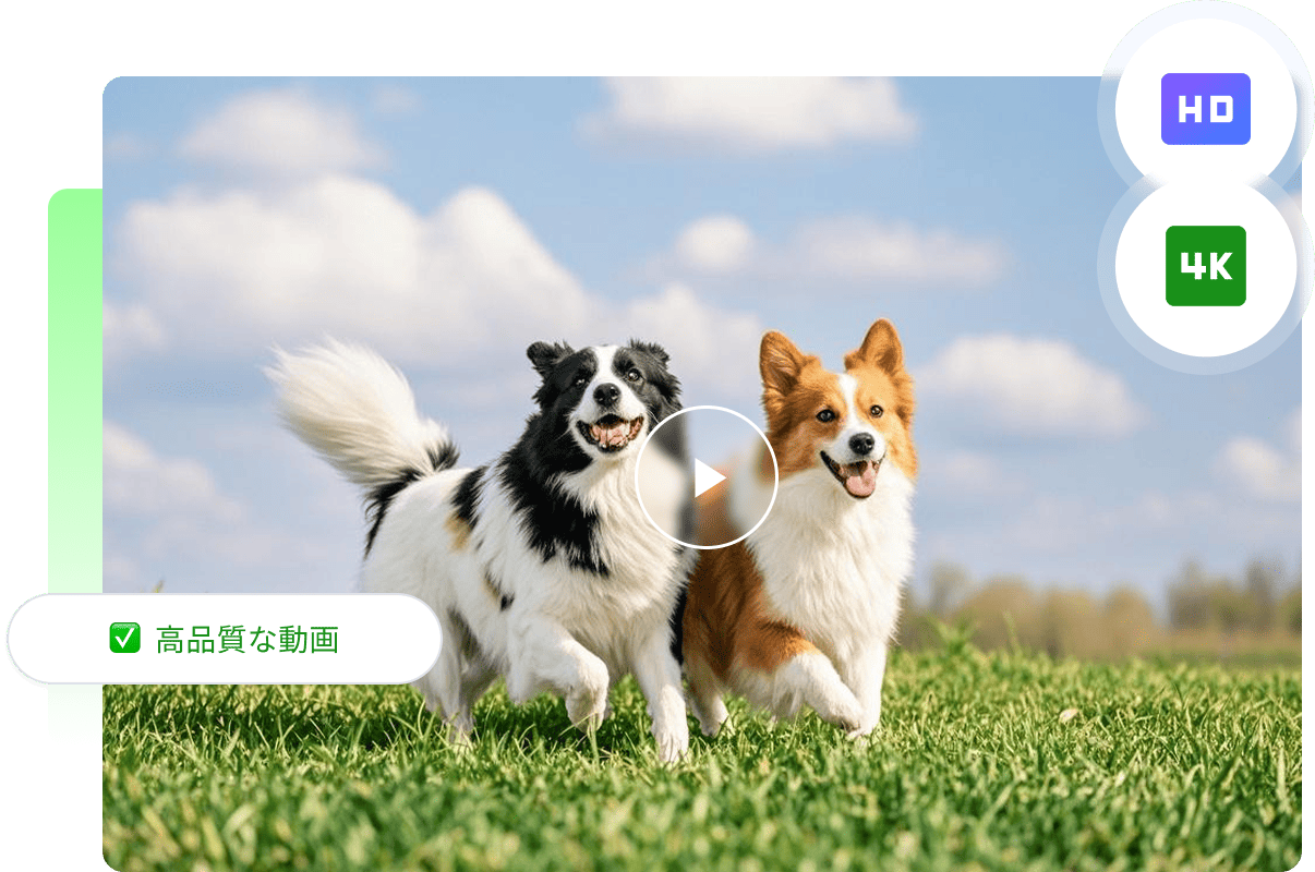 高品質&滑らかなモーション