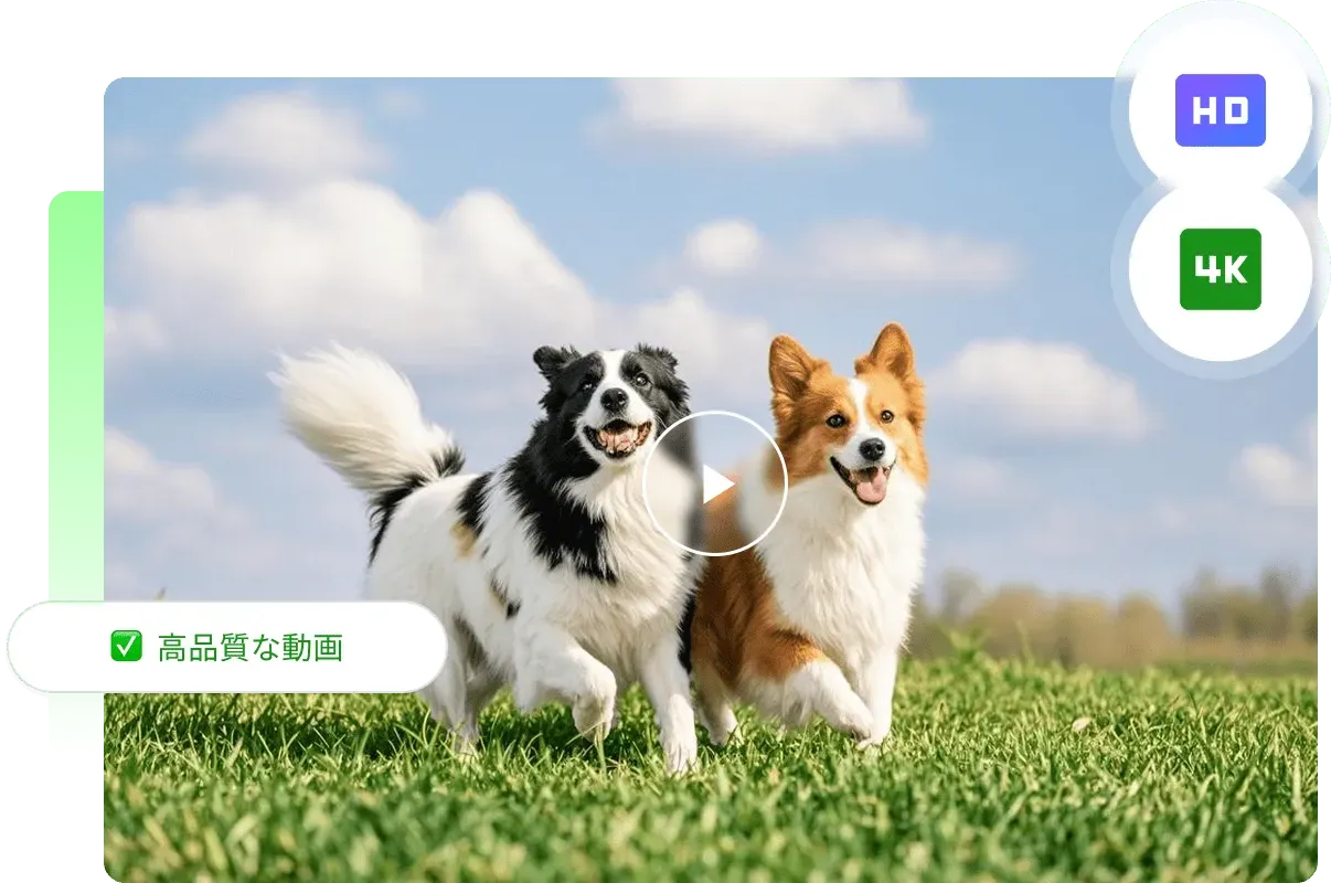 高品質&滑らかなモーション