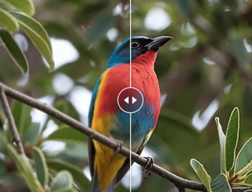 AI画像高画質化